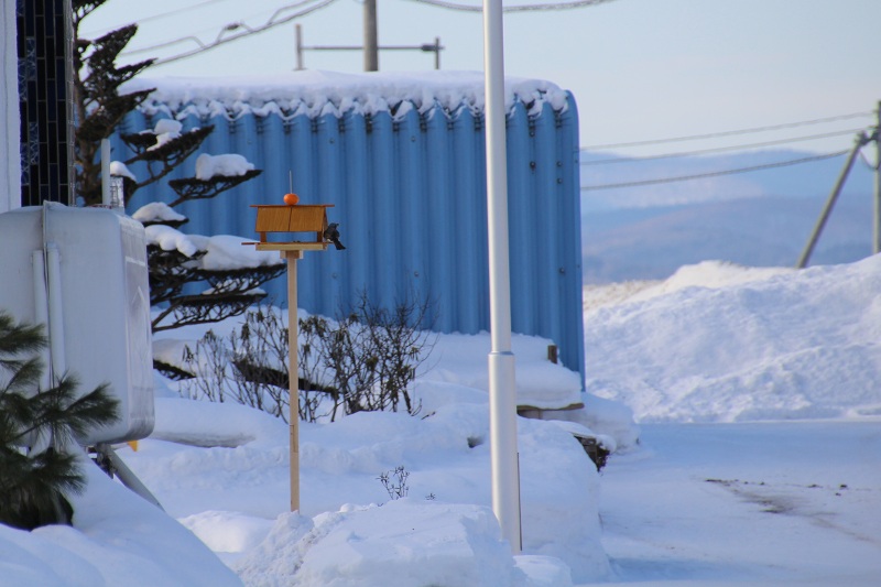 ファイル 15-2.jpg