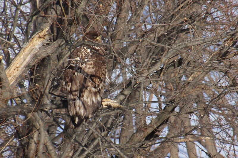 ファイル 15-3.jpg