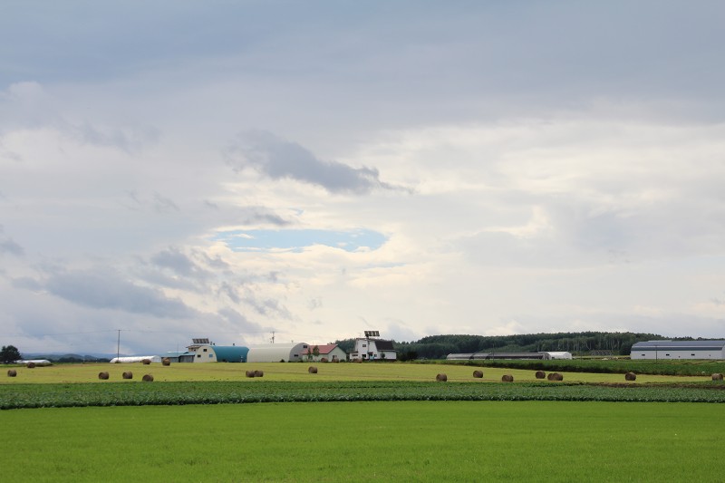 ファイル 150-1.jpg