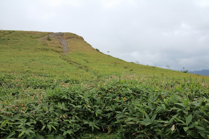 ファイル 150-3.jpg