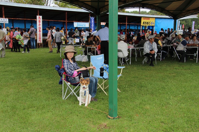 ファイル 153-1.jpg