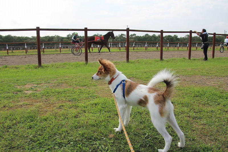 ファイル 153-5.jpg