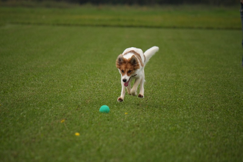 ファイル 156-1.jpg