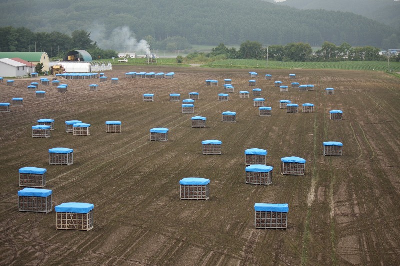 ファイル 156-3.jpg