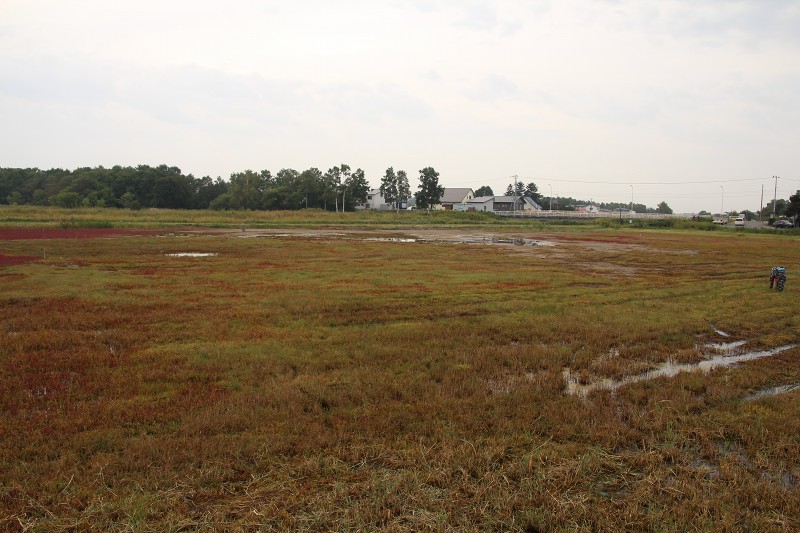 ファイル 157-2.jpg