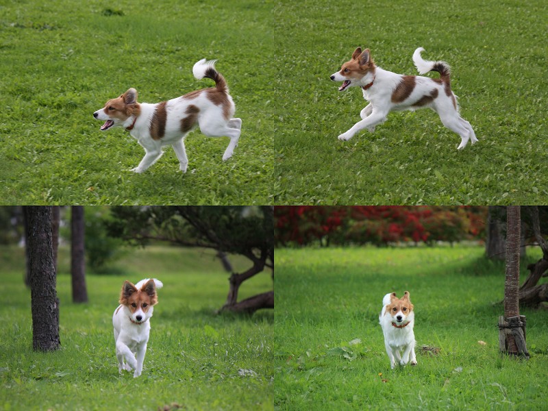 ファイル 158-5.jpg