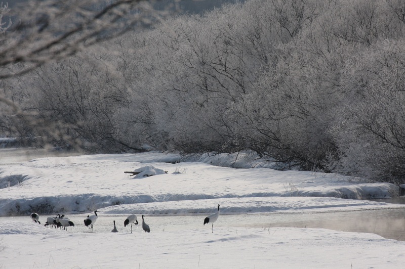 ファイル 16-2.jpg