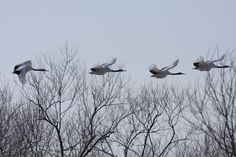 ファイル 16-3.jpg