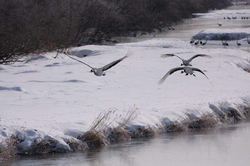 ファイル 16-4.jpg