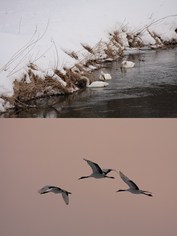 ファイル 16-5.jpg