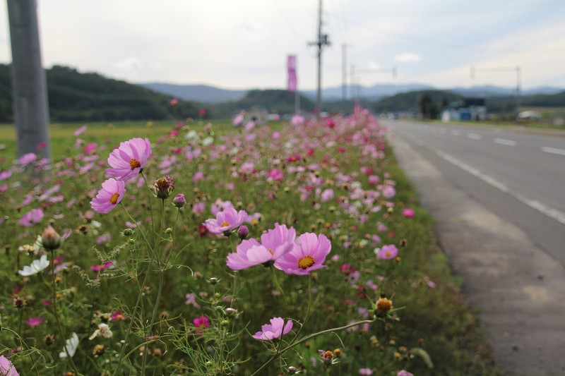 ファイル 160-3.jpg