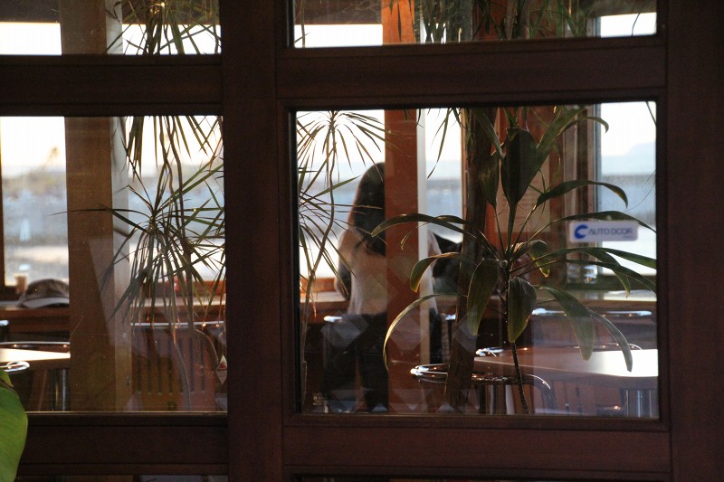 ファイル 162-2.jpg