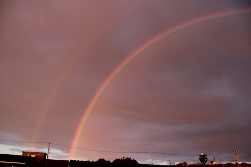 ファイル 163-3.jpg