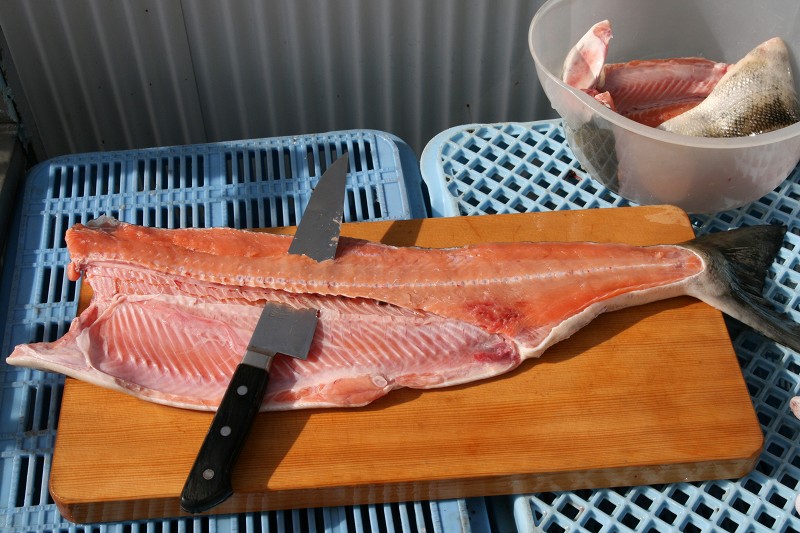 ファイル 164-3.jpg