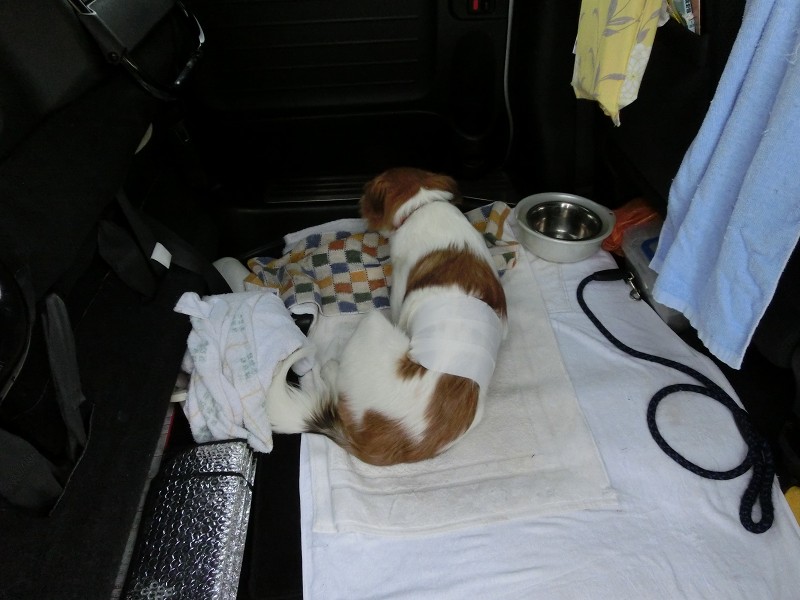 ファイル 166-1.jpg