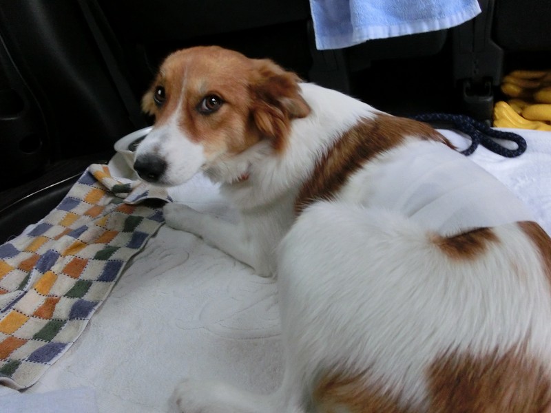 ファイル 166-2.jpg