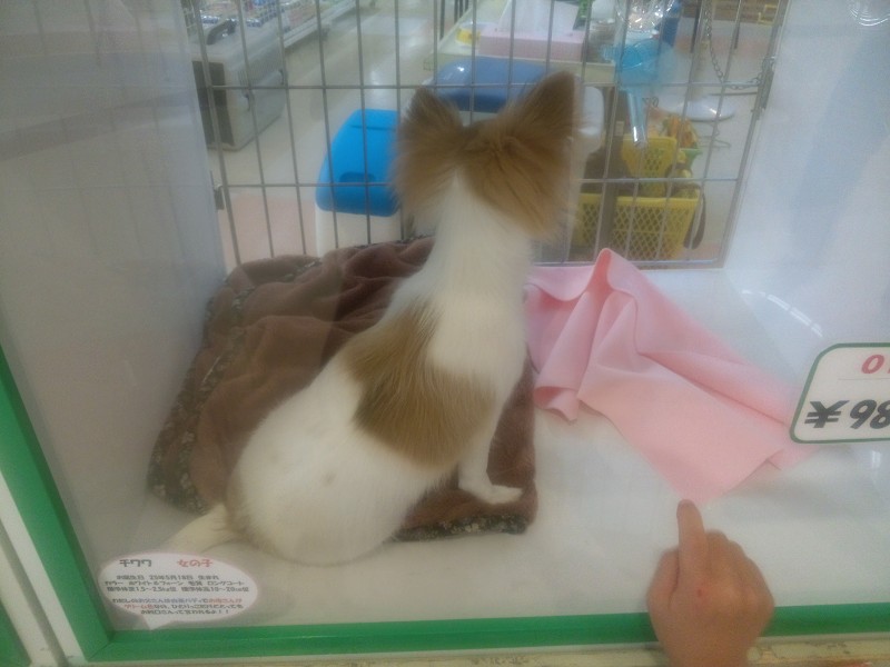 ファイル 166-3.jpg