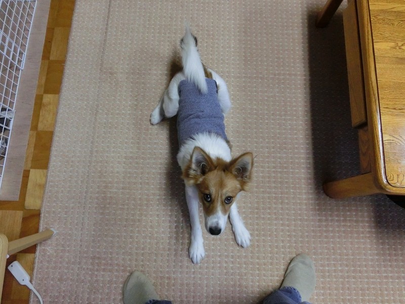 ファイル 166-4.jpg