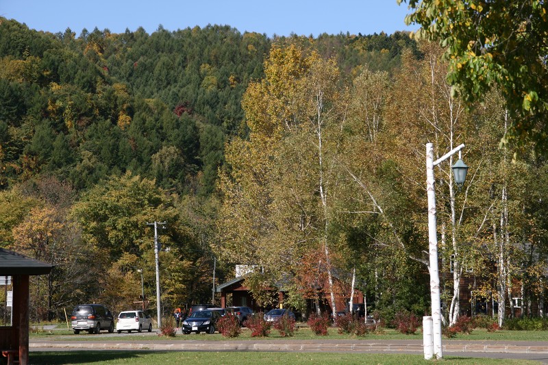 ファイル 169-1.jpg