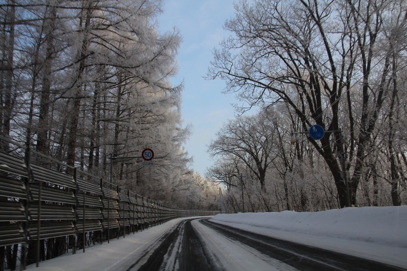 ファイル 17-5.jpg