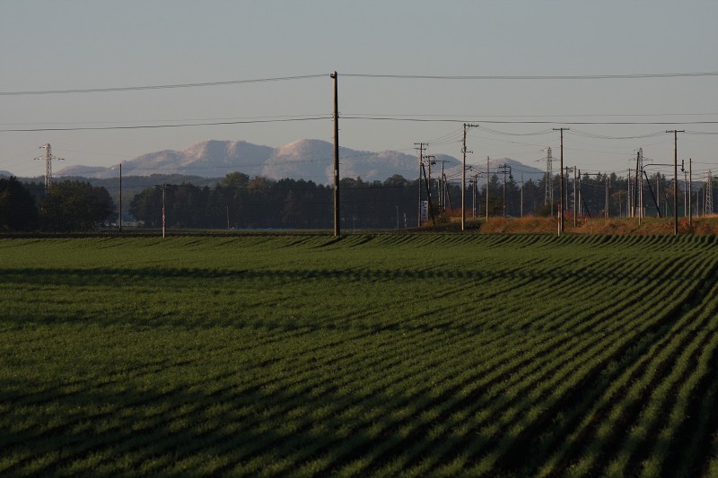 ファイル 170-3.jpg