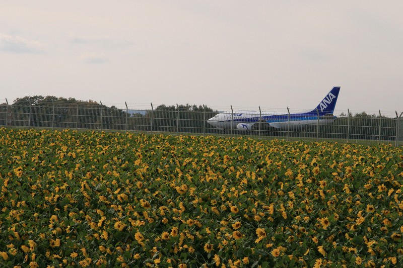 ファイル 171-2.jpg