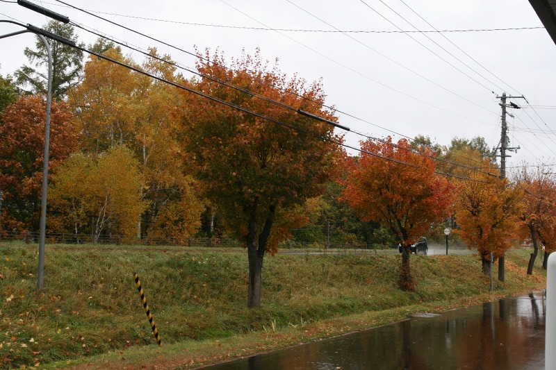 ファイル 172-1.jpg