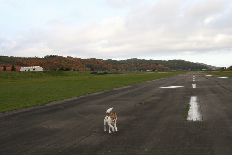 ファイル 172-3.jpg