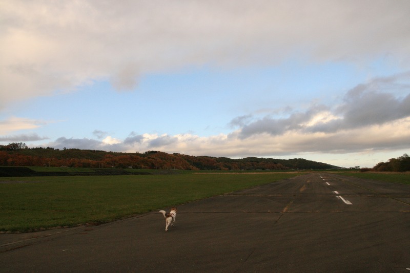 ファイル 172-4.jpg