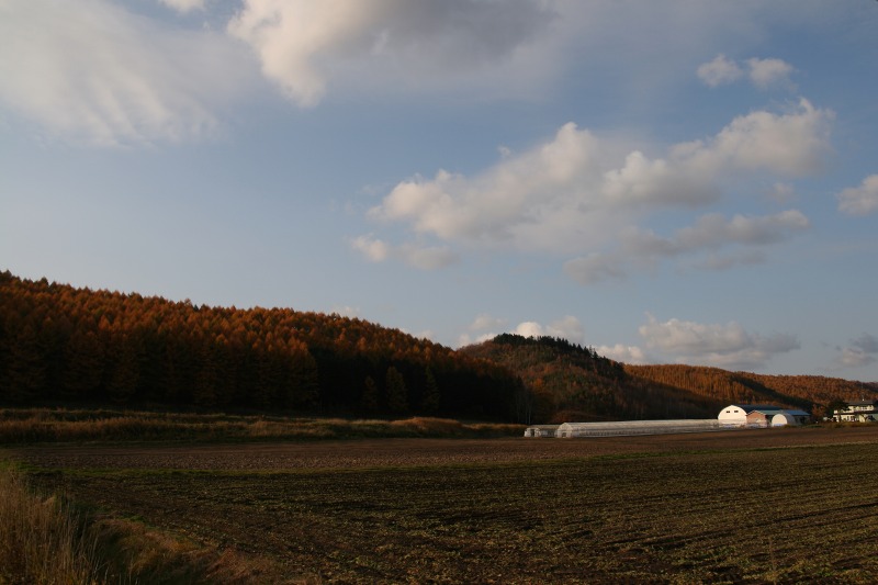 ファイル 174-3.jpg