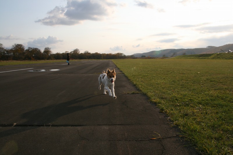 ファイル 174-5.jpg