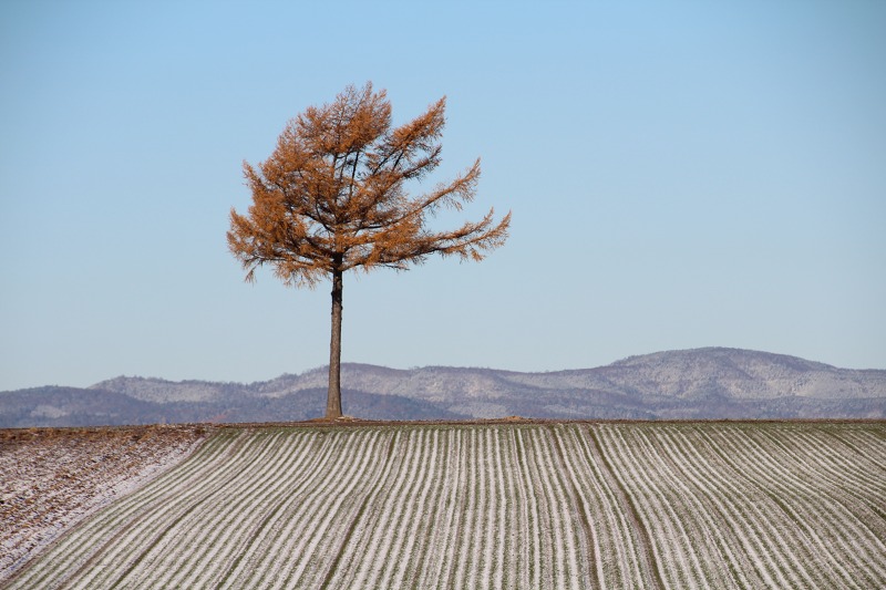 ファイル 177-3.jpg