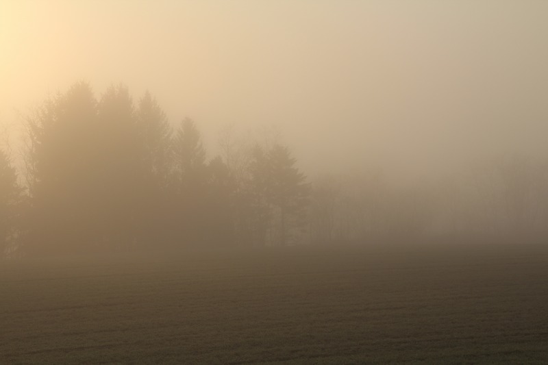 ファイル 179-2.jpg