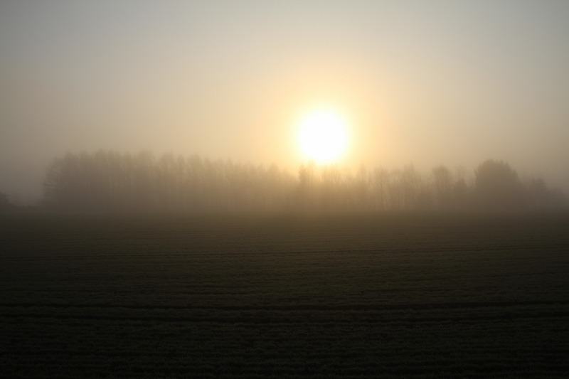 ファイル 179-3.jpg