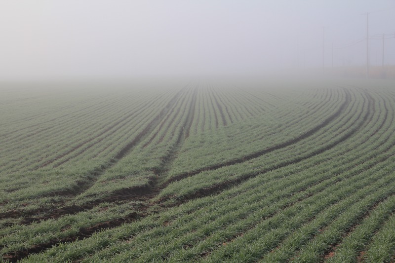 ファイル 179-4.jpg