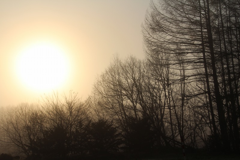 ファイル 179-5.jpg