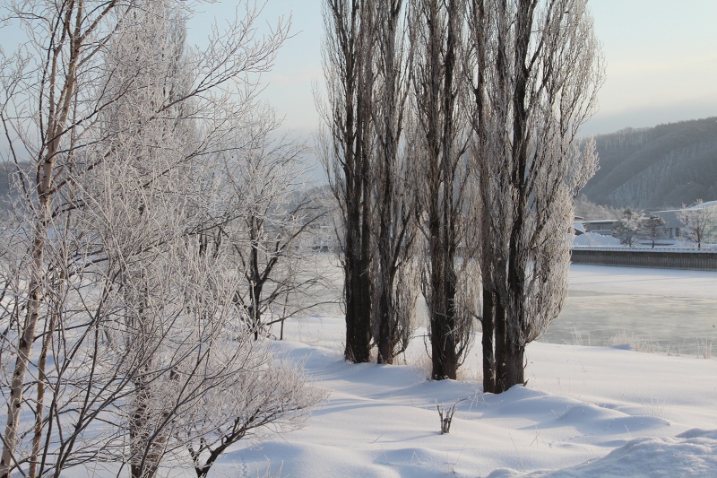 ファイル 18-1.jpg