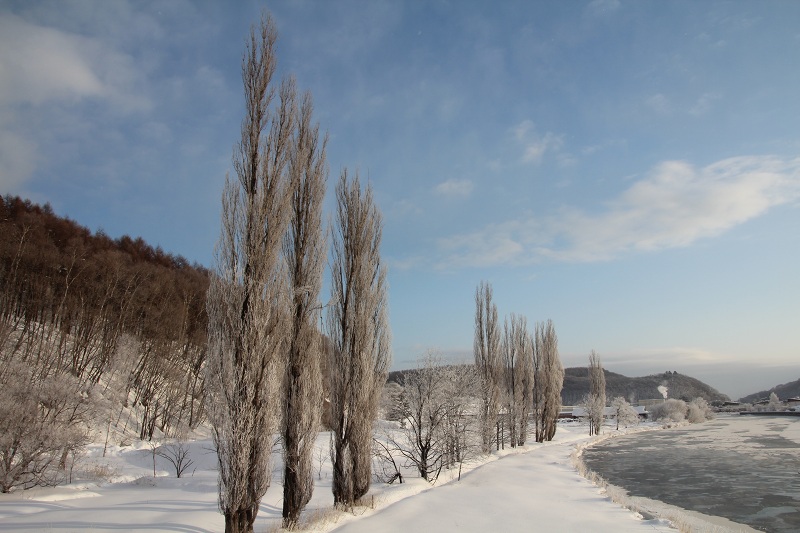 ファイル 18-3.jpg