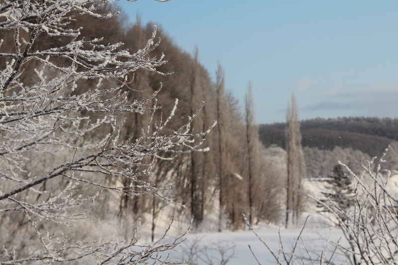 ファイル 18-4.jpg