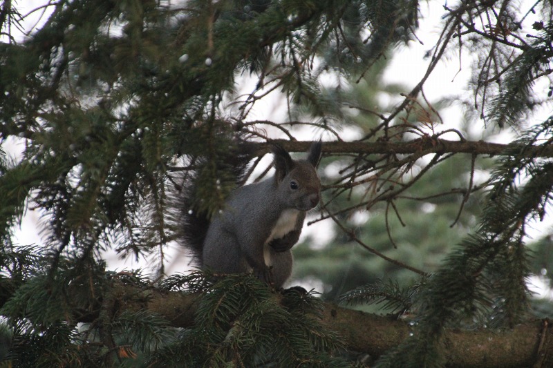 ファイル 180-1.jpg