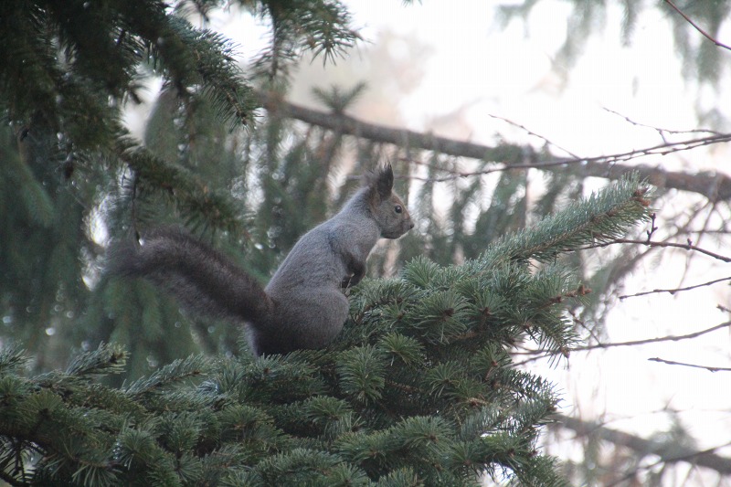 ファイル 180-2.jpg