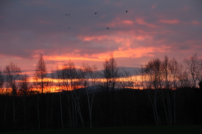 ファイル 182-1.jpg