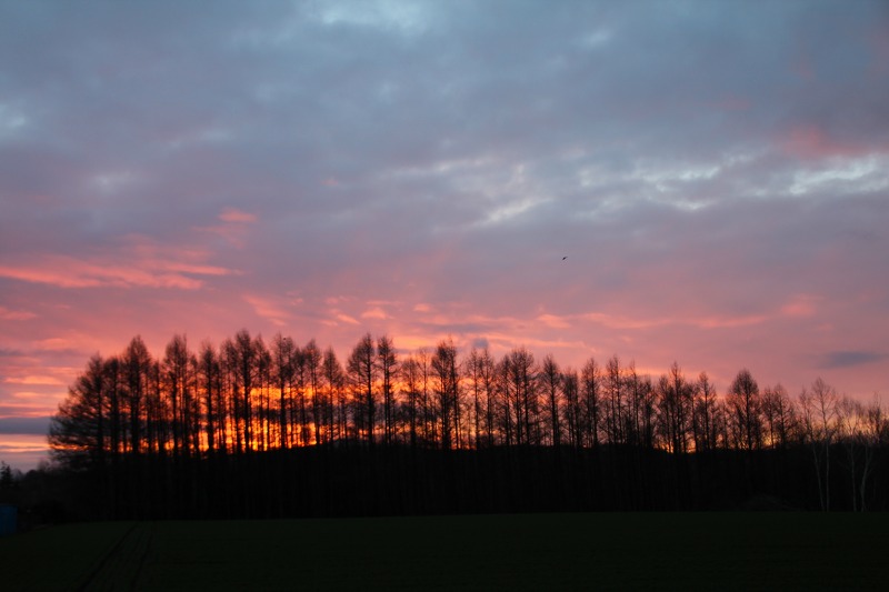 ファイル 182-2.jpg