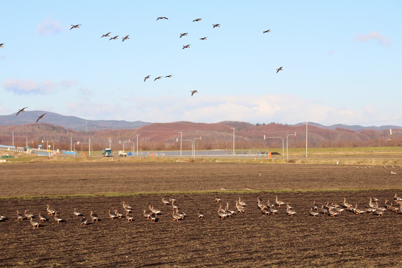 ファイル 184-3.jpg