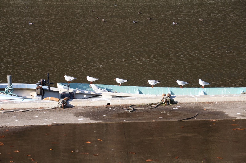 ファイル 184-5.jpg