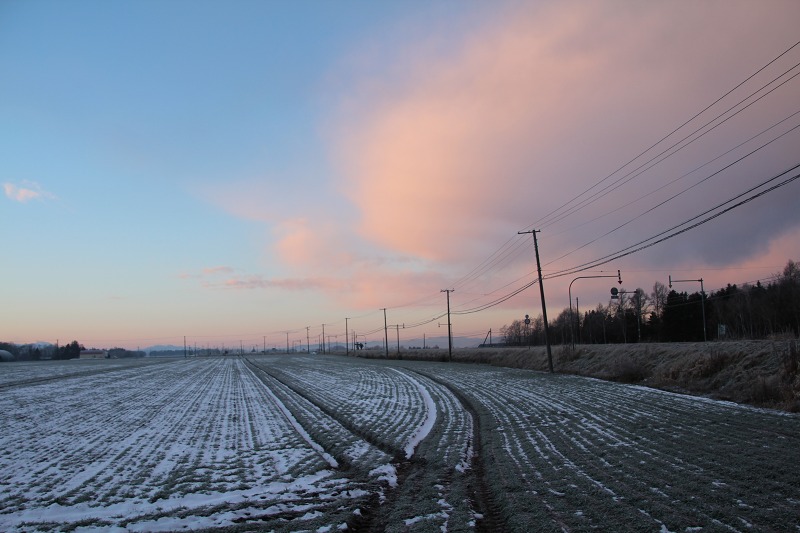 ファイル 187-1.jpg