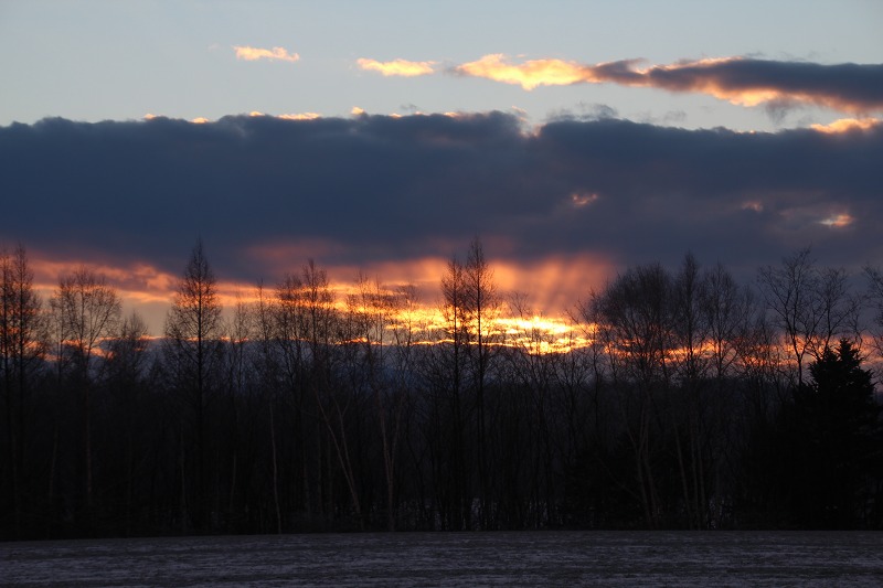 ファイル 187-2.jpg