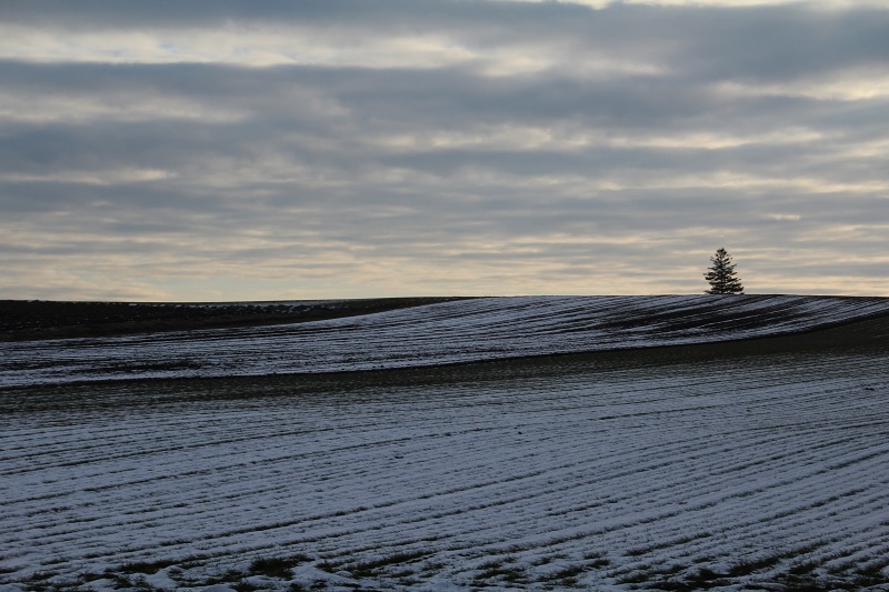 ファイル 189-1.jpg