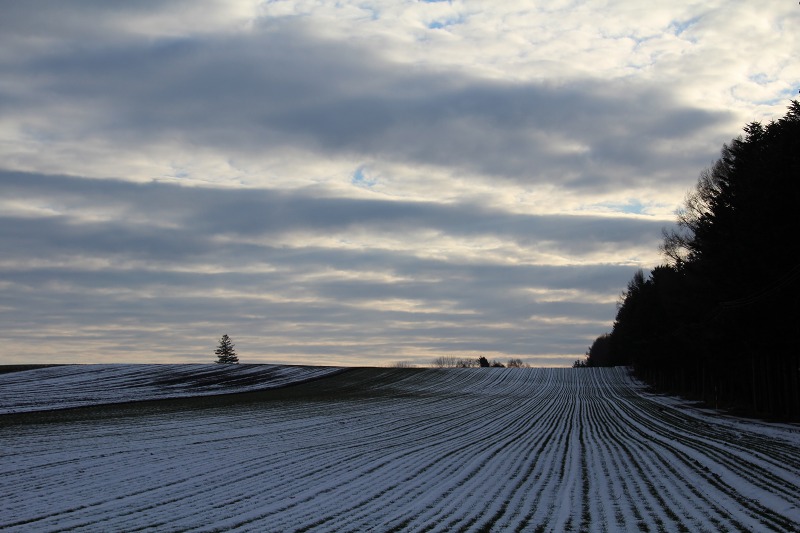 ファイル 189-2.jpg