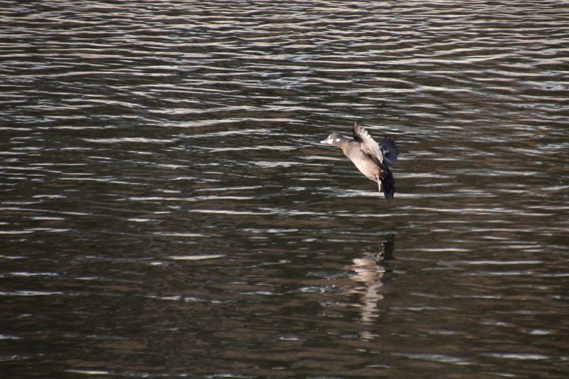 ファイル 189-3.jpg